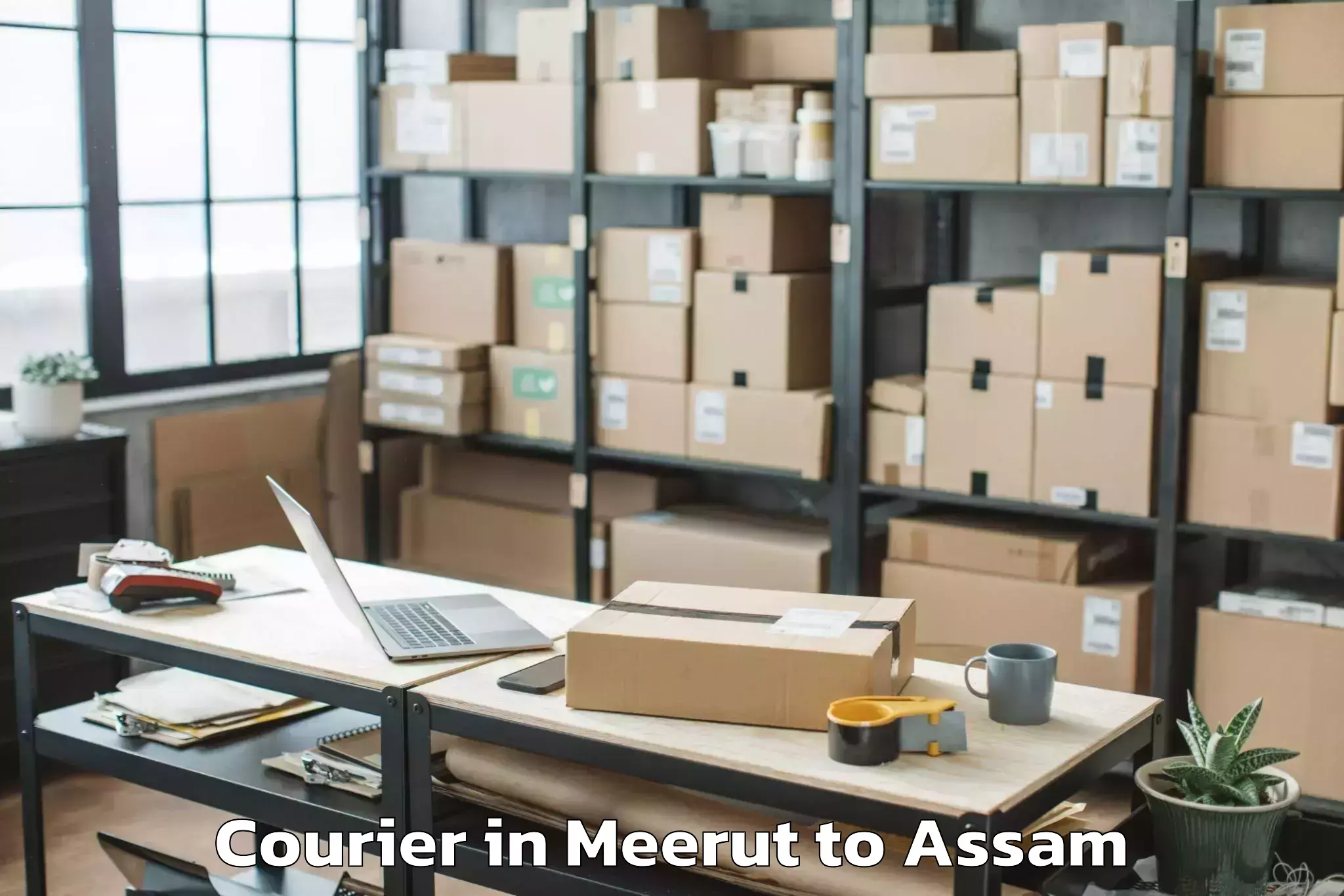 Leading Meerut to Naharkatia Courier Provider